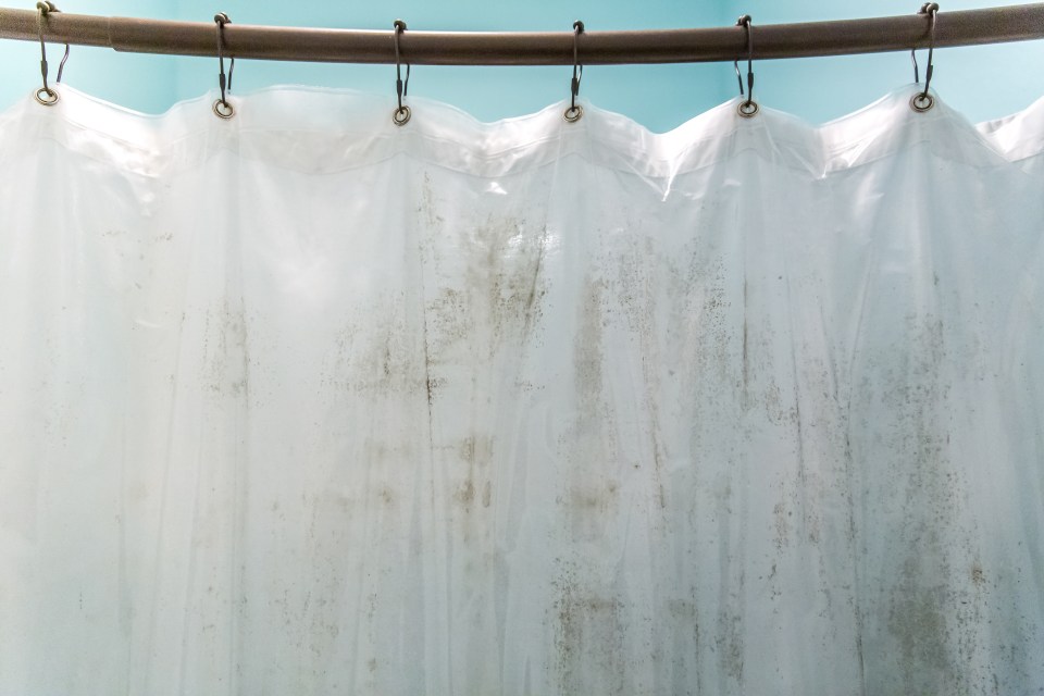 Mould from shower curtains can cause aspergillosis which is an infection of the respiratory system