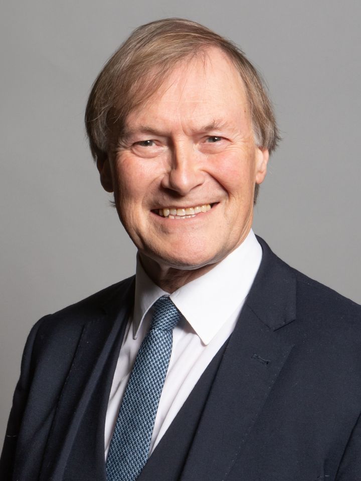 Sir David Amess was stabbed to death in Leigh-on-Sea, Essex last week