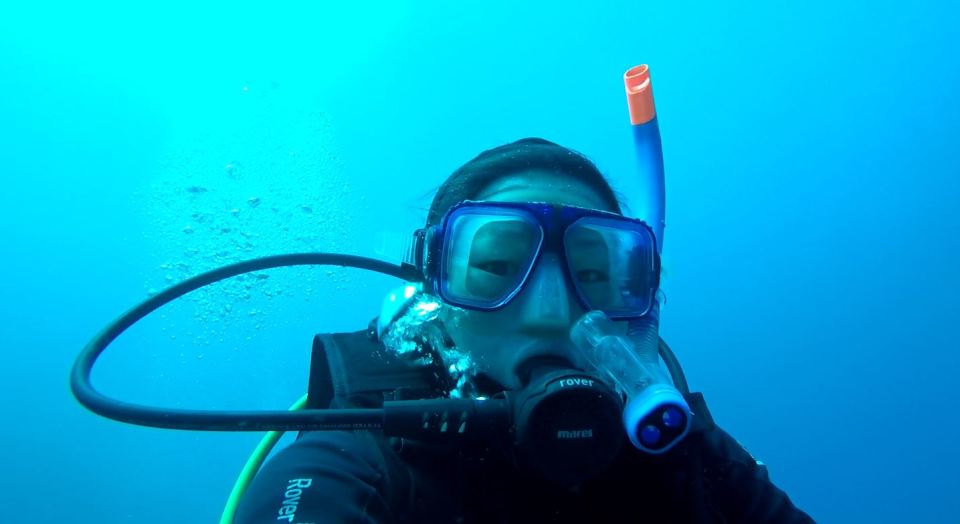 I’d only tried diving for the first time just a few days earlier and I’m now inside what feels like the world’s largest tropical aquarium