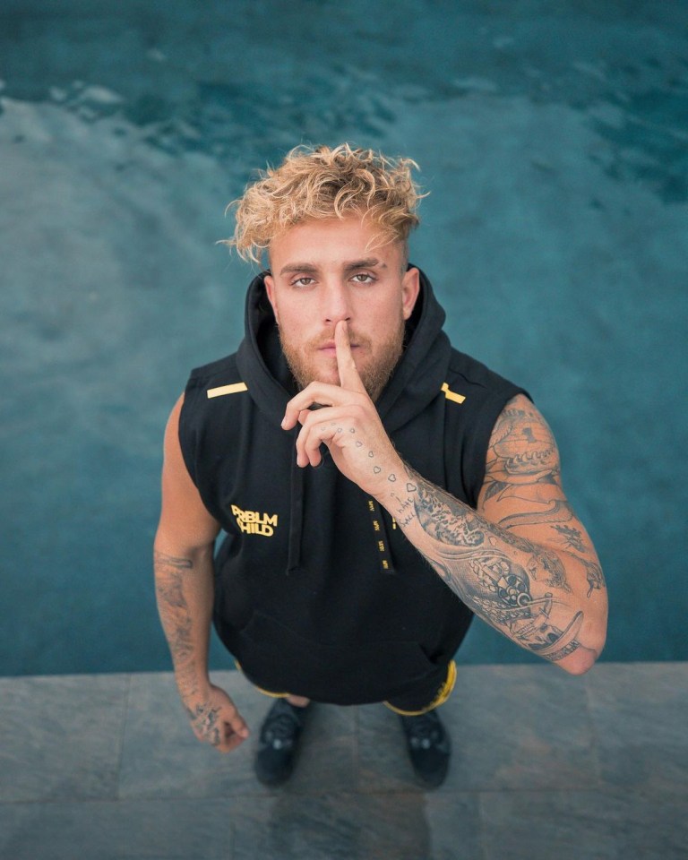 Jake Paul mocked 'clowns' Canelo Alvarez and Gervonta Davis for their ex-opponents