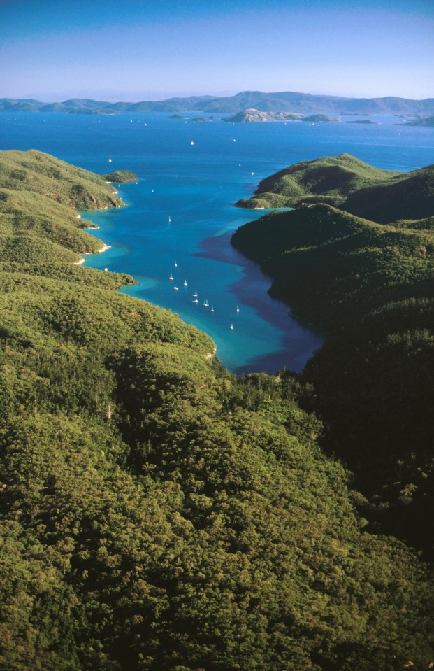 Mr Price was on a boat off Airlie Beach in Queensland, Australia (stock image)