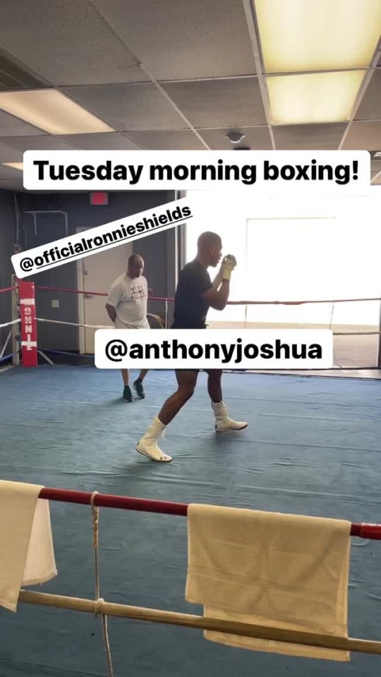 AJ has shared snaps of him training with Ronnie Shields in the States