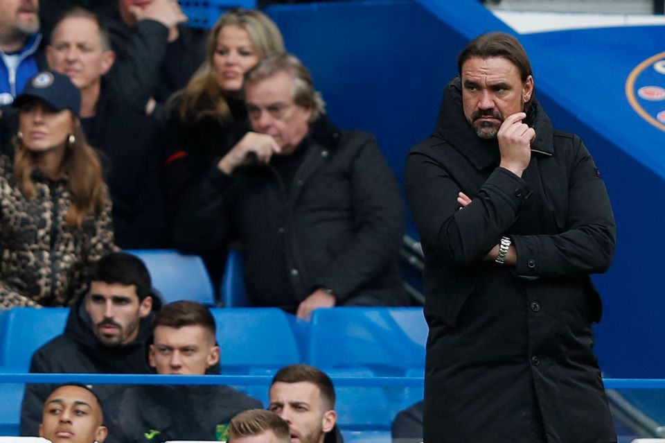 Norwich boss Daniel Farke looks on in defeat