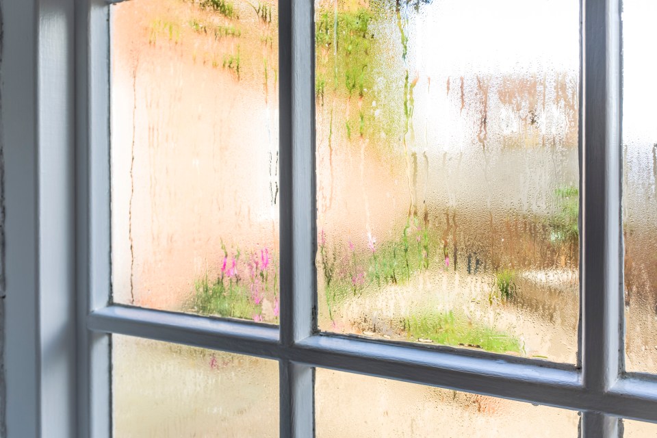 Are you waking up with condensation on the windows? This may be the tip you need...