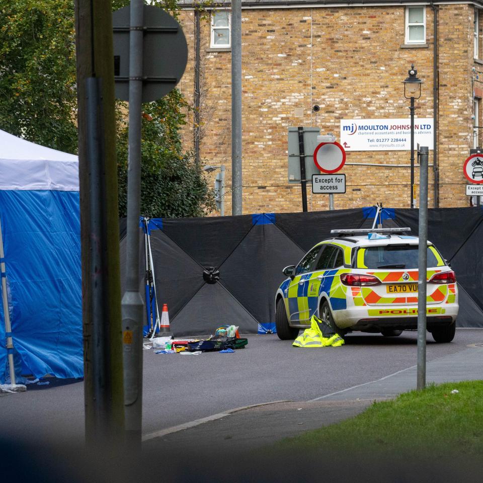 Two teenagers have died from their injuries after an incident in Brentwood, Essex