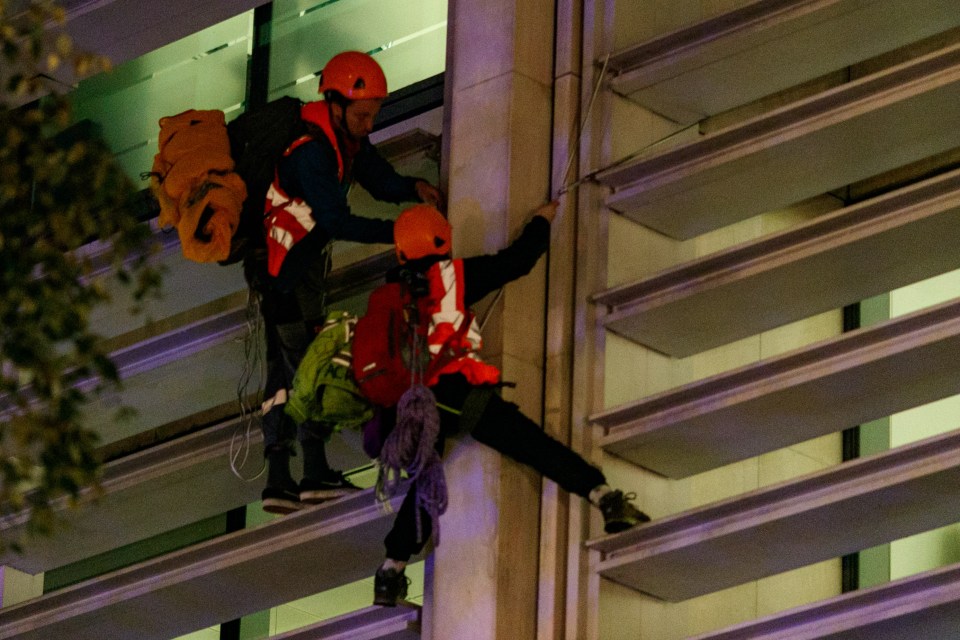 The group used ladders, harnesses and ropes to scale the building