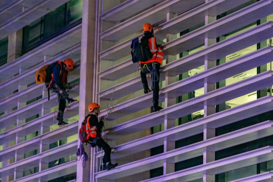 Members of Animal Rebellion scale the Home Office building in London