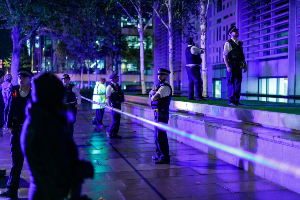 Met Police cordoned Marsham Street outside the Home Office