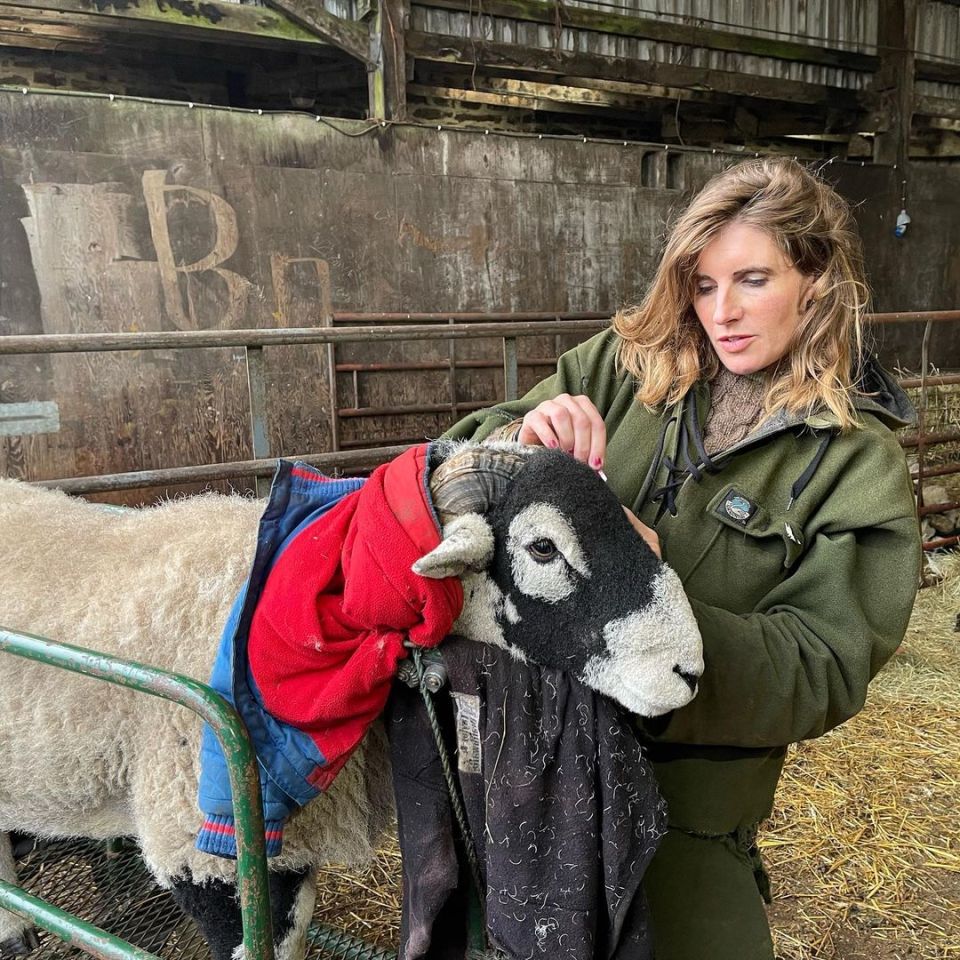 Amanda and the family spend time caring for their animals at Ravenseat in Yorkshire