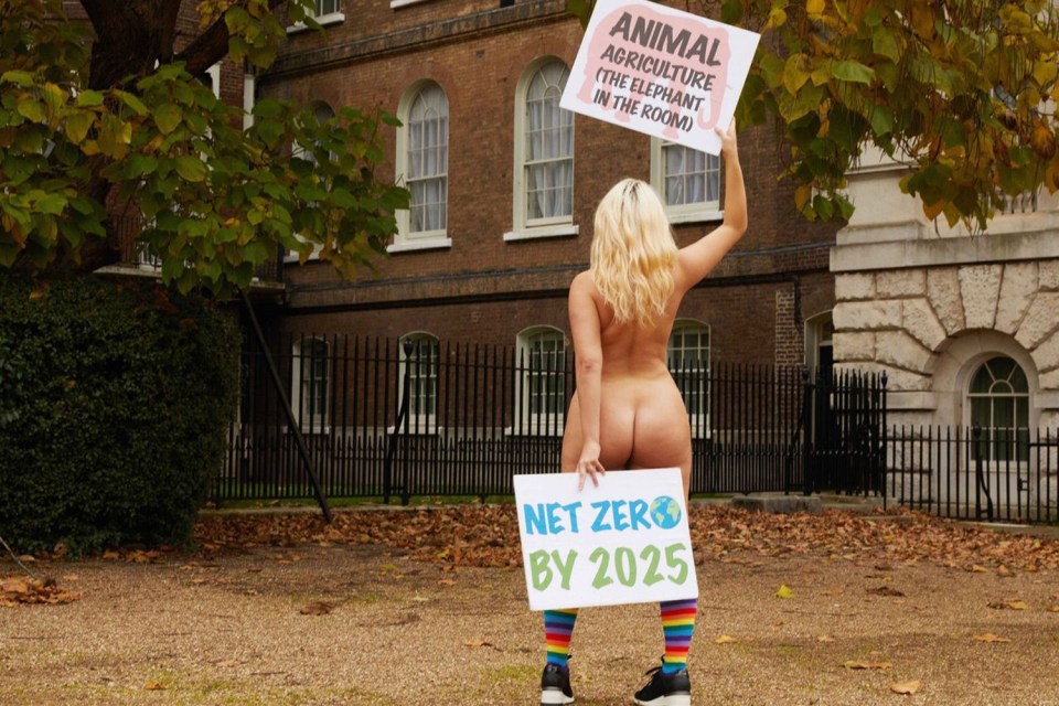 She stripped off to make her point outside No 10