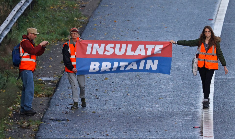 Protesters walk down the side of the motorway with their signs