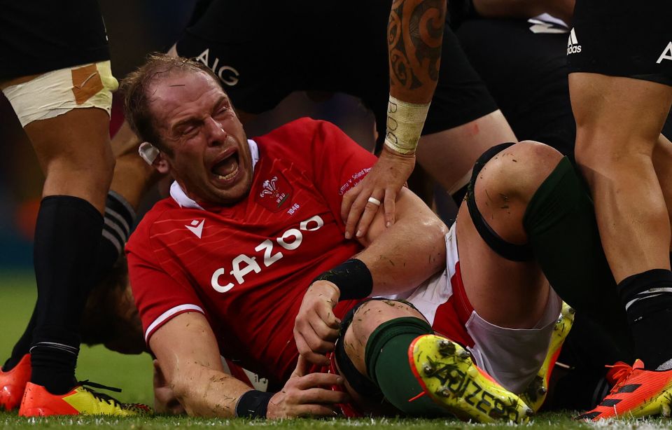 Alun Wyn Jones suffers a game-ending injury against the All Blacks