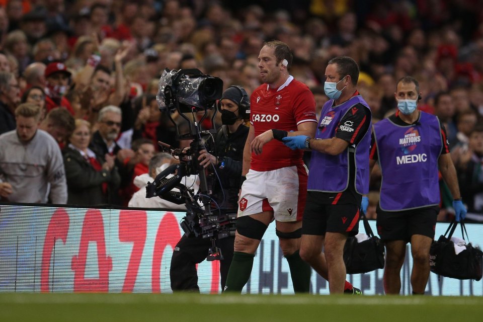 Alun Wyn Jones was escorted off the pitch by the medical team 18 minutes into the match