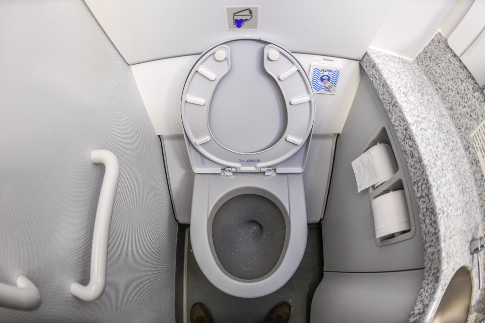  Don't worry about being sucked into the plane toilet either