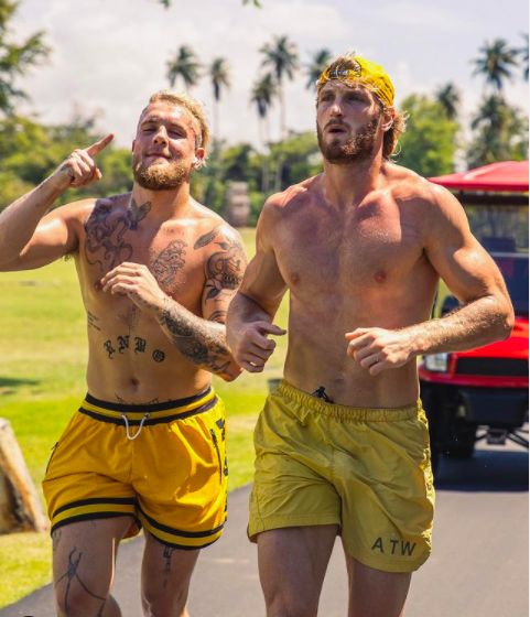 Jake and Logan Paul have been linked with fighting Mike Tyson