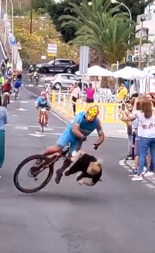 Both cyclist and spectator went flying