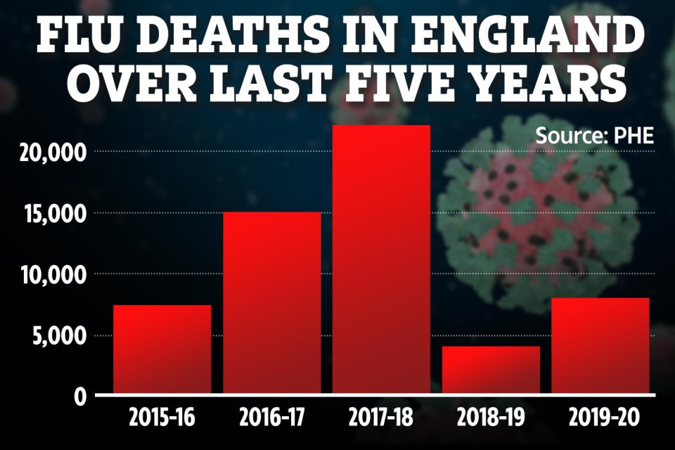 Britain could see a massive spike in cases after natural immunity to flu dropped