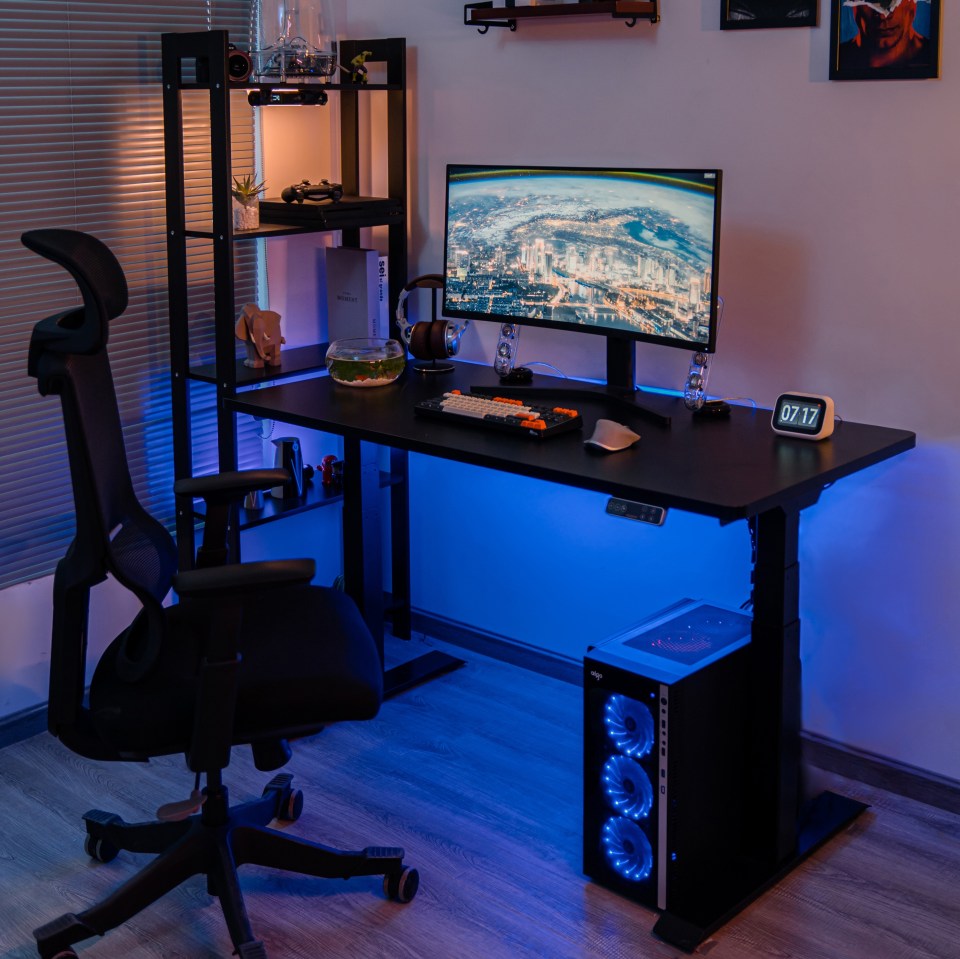 The Flexispot sit/stand desk is a good option for gamers