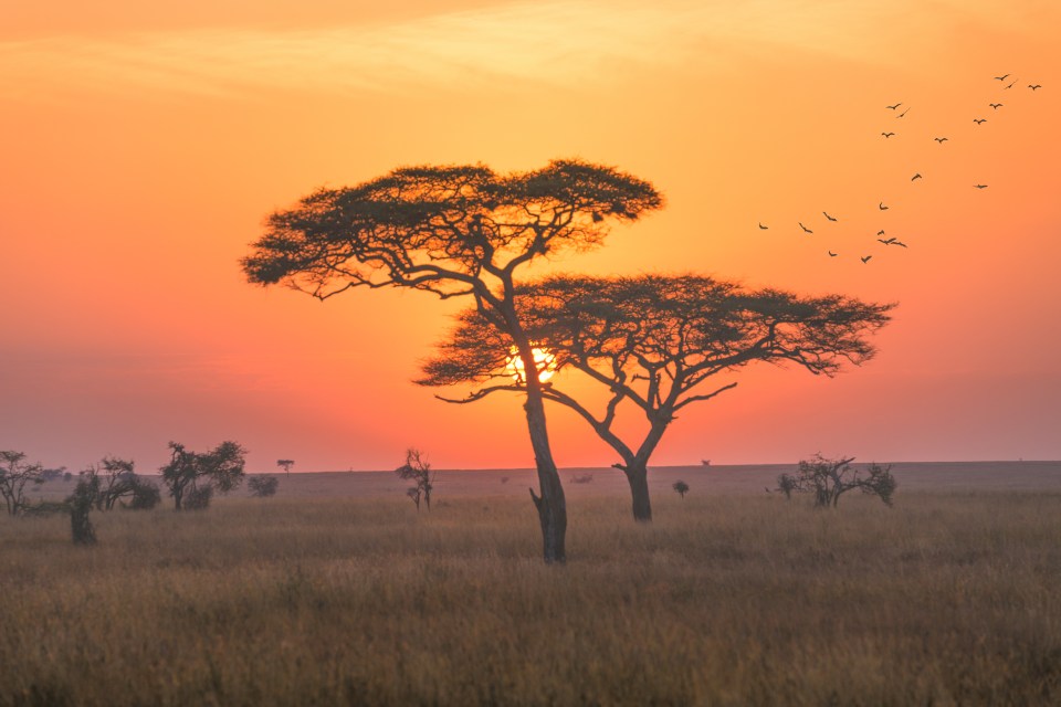  As beautiful as the morning sky can be, a red sky can offer some insight into the weather to come