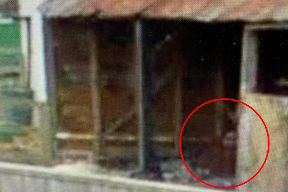 A figure which looked like Leah was spotted on Google Earth in a barn on grounds searched by cops