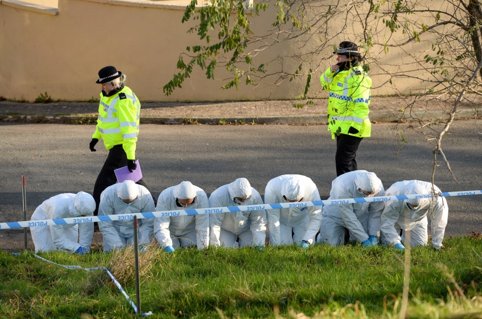 Police carry out fingertip searches near where she was last seen