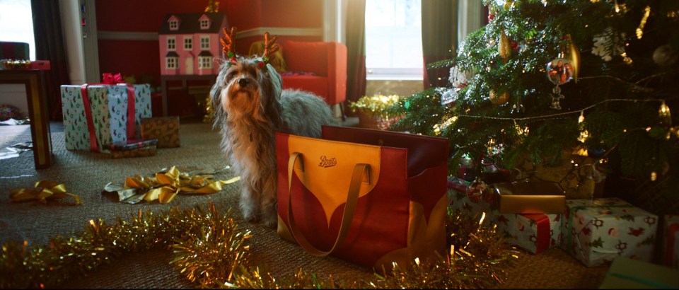 Even the family dog finds a gift in the Bag of Joy