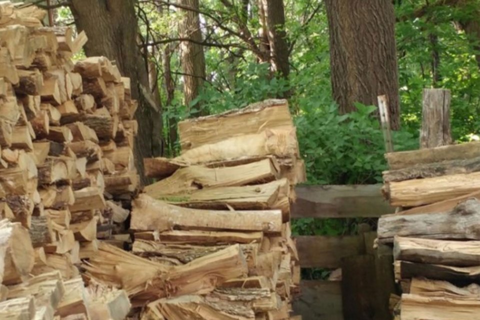 Are you able to spot the cat blending perfectly into the logs?