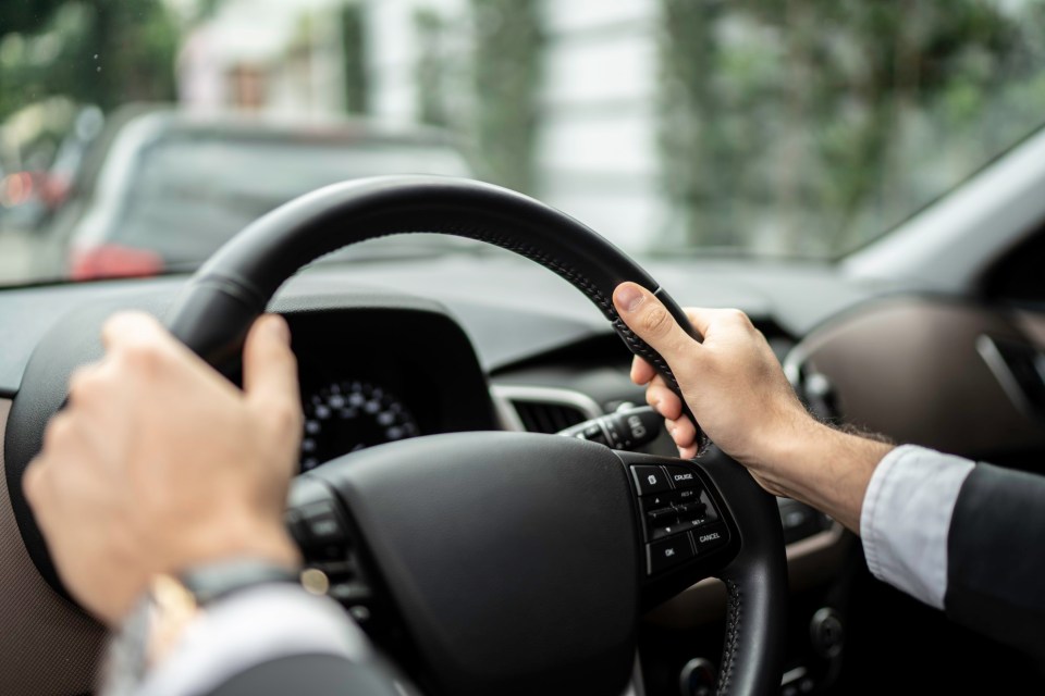 Here's all you need to know after you get banned from driving