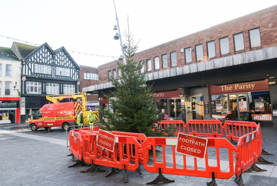 In 2019, a tree in the town appeared to have died early on, with brown, drooping branches