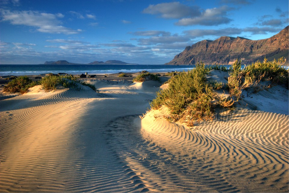 Tourists having outdoor sex are destroying the local wildlife in the Canary Islands