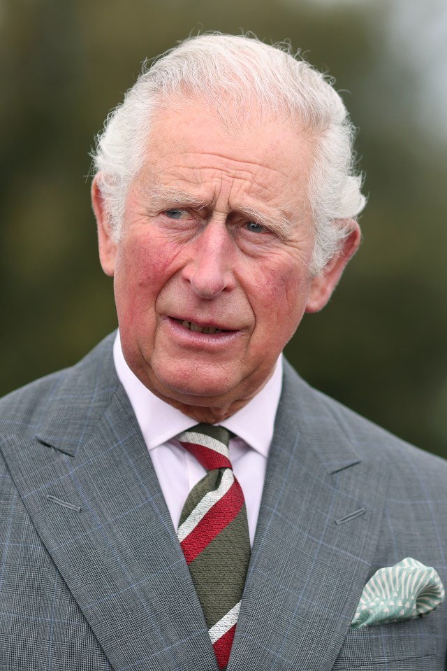 The new book alleges that Charles asked wife Camilla over breakfast: 'I wonder what the children will look like?'