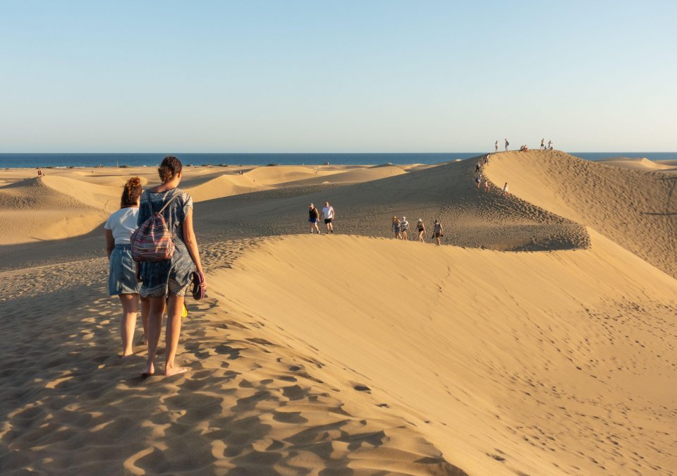 A new study found that randy tourists were contributing to damage of 10 local plants