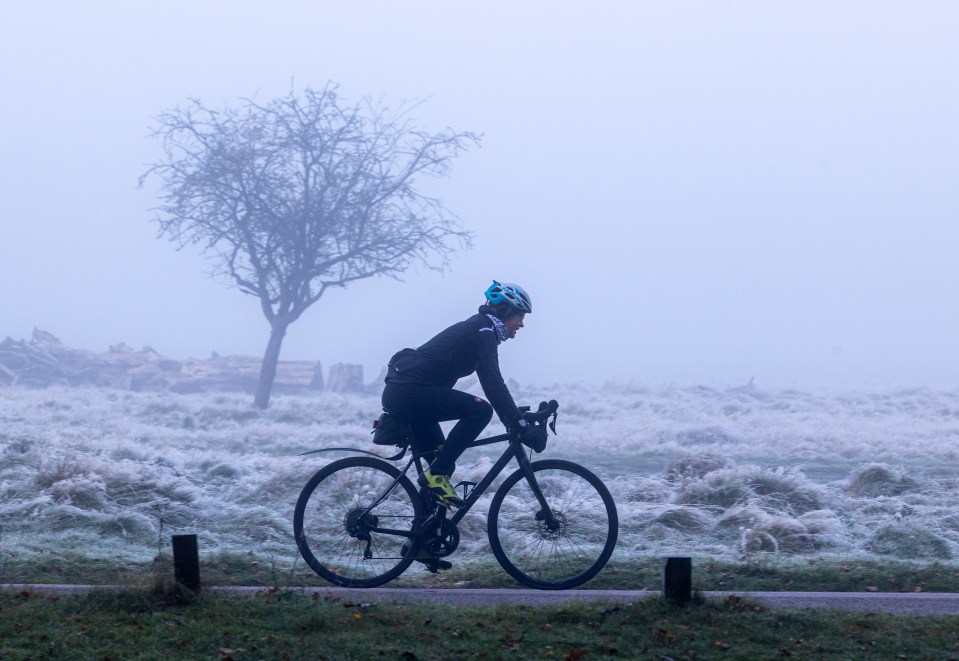 It was frosty in Richmond Park this morning as the mercury dropped to -2C