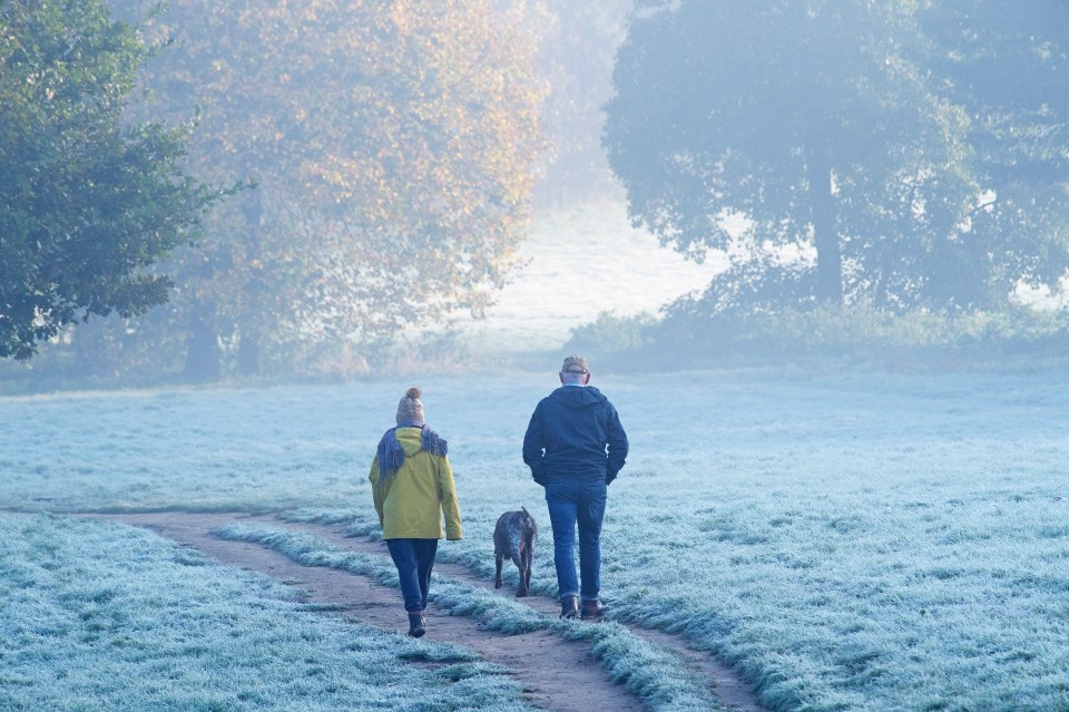 As temperatures took a nose-dive, many Brits - including these dog walkers in Sidcup, London - awoke to thick fog