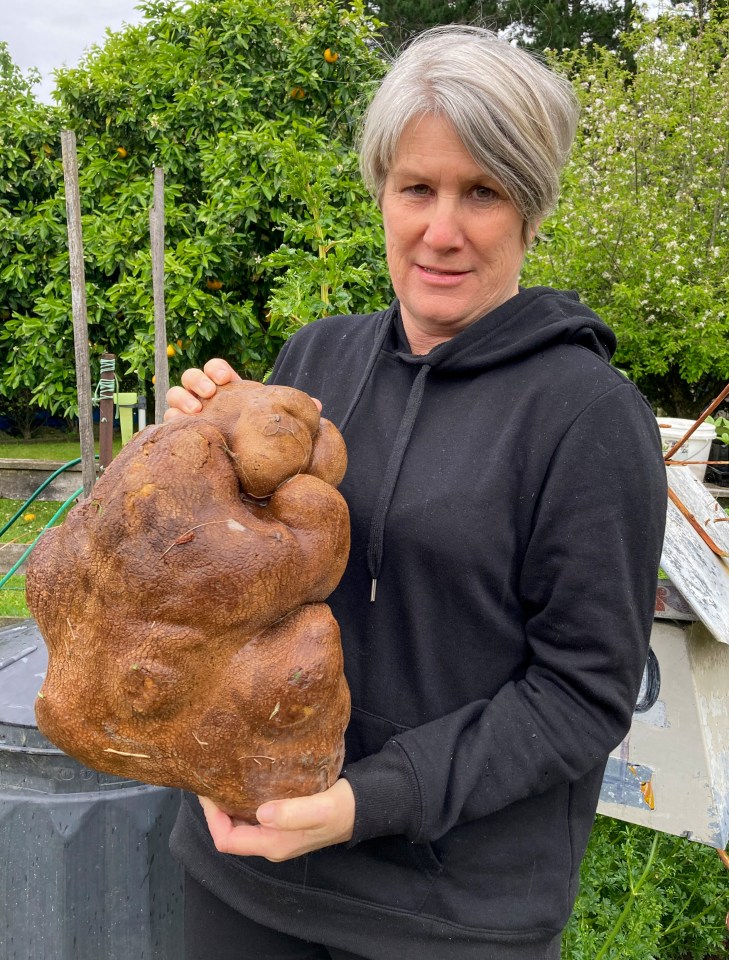 New Zealand couple Colin and Donna Craig-Brown had no idea the monster masher was at their farm