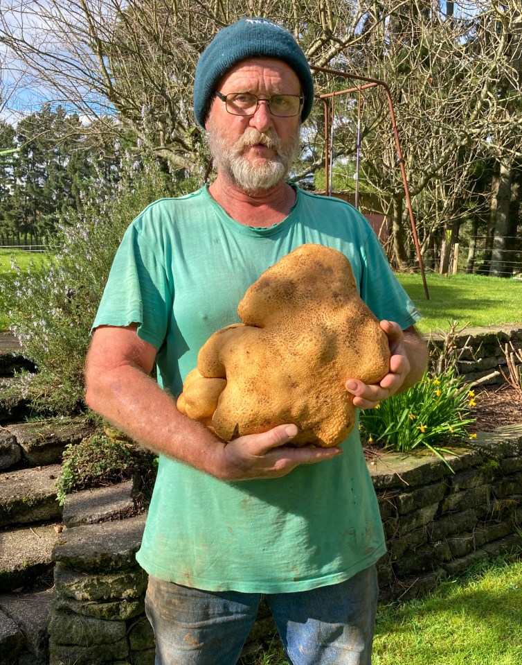 They found it in a patch of cucumbers and said 'It was just huge but with an ugly, mutant look about it'