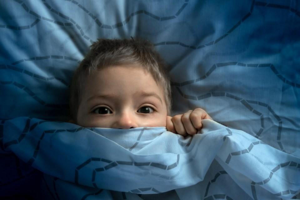 Kids who often wake up or don't sleep enough have brains less efficient, flexible and resilient