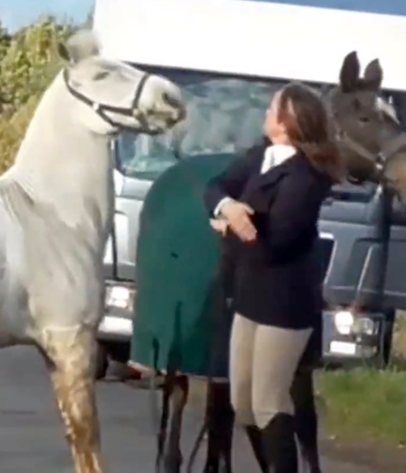 The woman appeared to kick and slap the animal