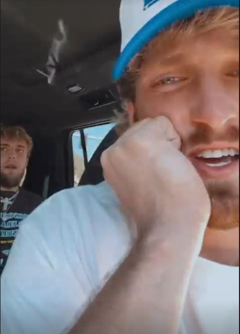 Logan and Jake Paul rinsed Tommy and Tyson Fury with an Instagram video mocking the British pair