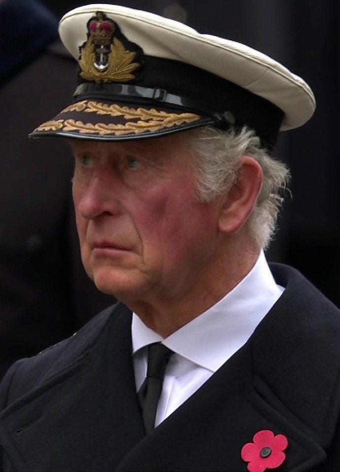 Prince Charles leads the nation in remembering Britain's war heroes