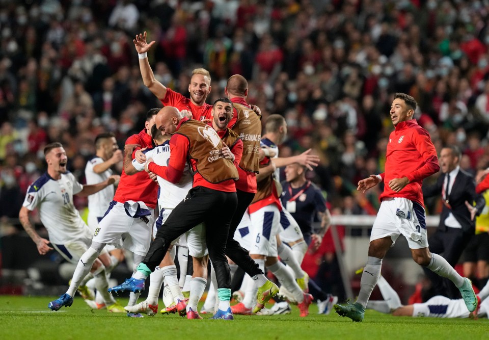 Serbia celebrated in wild fashion after Mitrovic nodded home a 90th minute winner