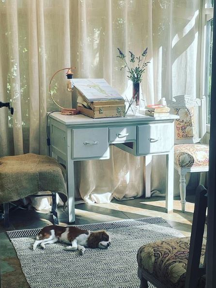 The neutral decor and sophisticated printed chairs and rug are a hit with Emily’s dog Penny