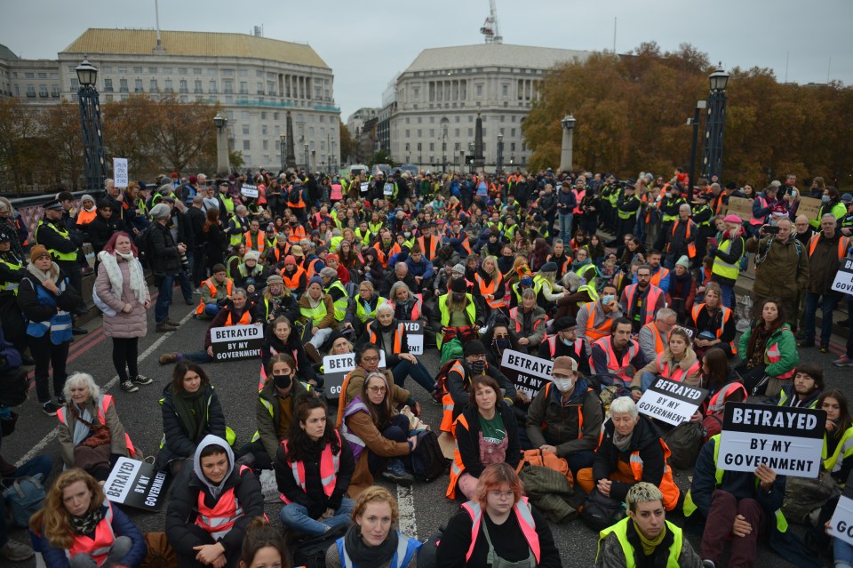 Eco-warriors blocked bridges in the capital today disrupting traffic and causing chaos in the city