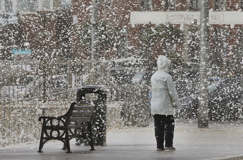 Snow falling yesterday in Northern Ireland, where a driver was killed by a falling tree