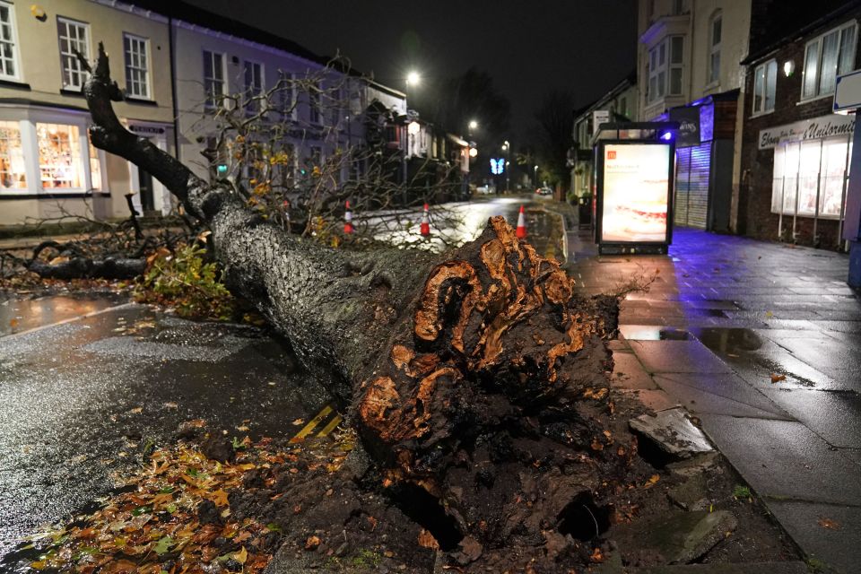 A fallen tree blocked a road in the centre of Norton village in Teeside