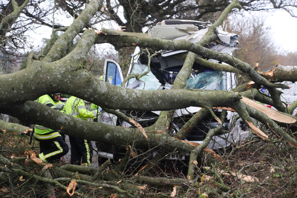 Another vehicle was seen crushed by a tree in Somerset