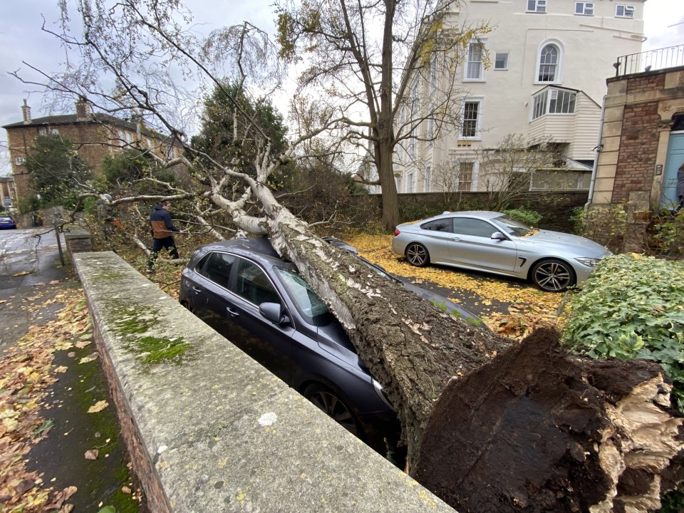 A huge tree crushed a car in Clifton, Bristol