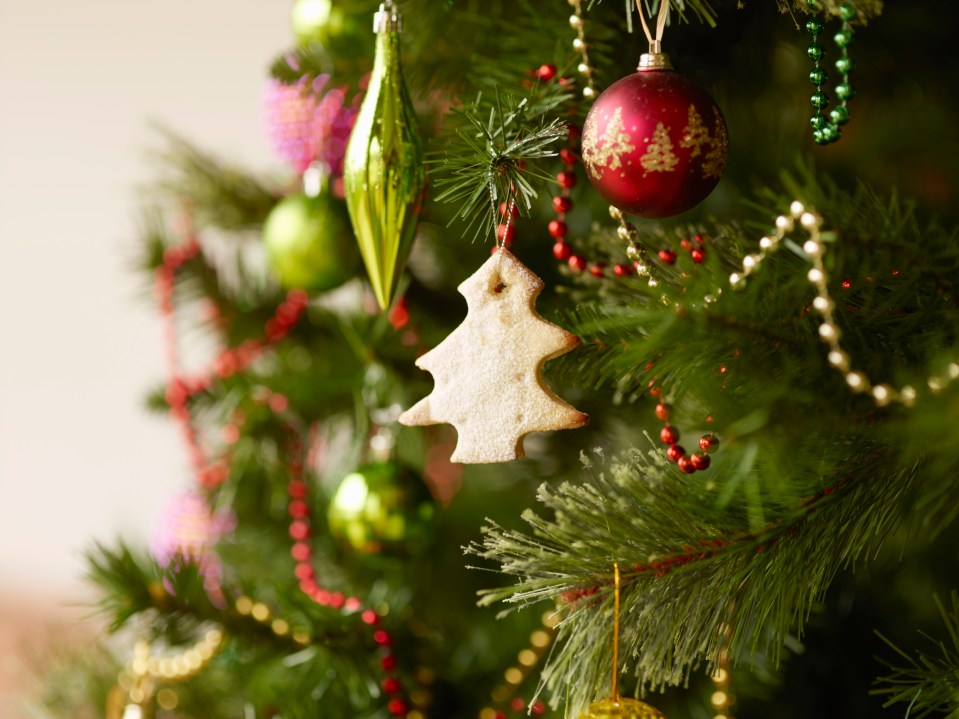 Here’s some tips on how to take care of your Christmas tree