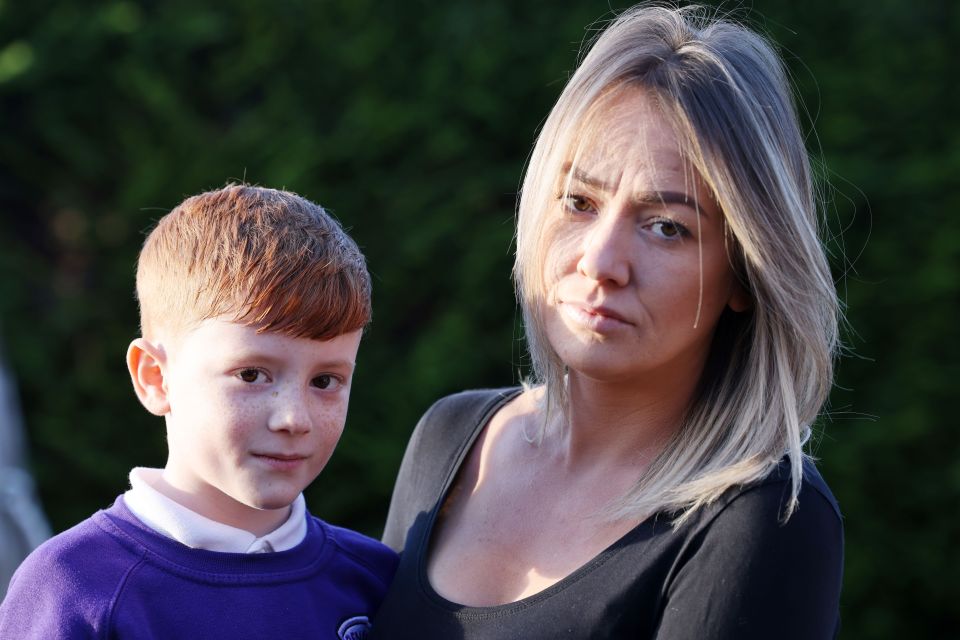 Sarah Purvis was brought to tears when little Alfie told her about the 'metal' in his school ice cream