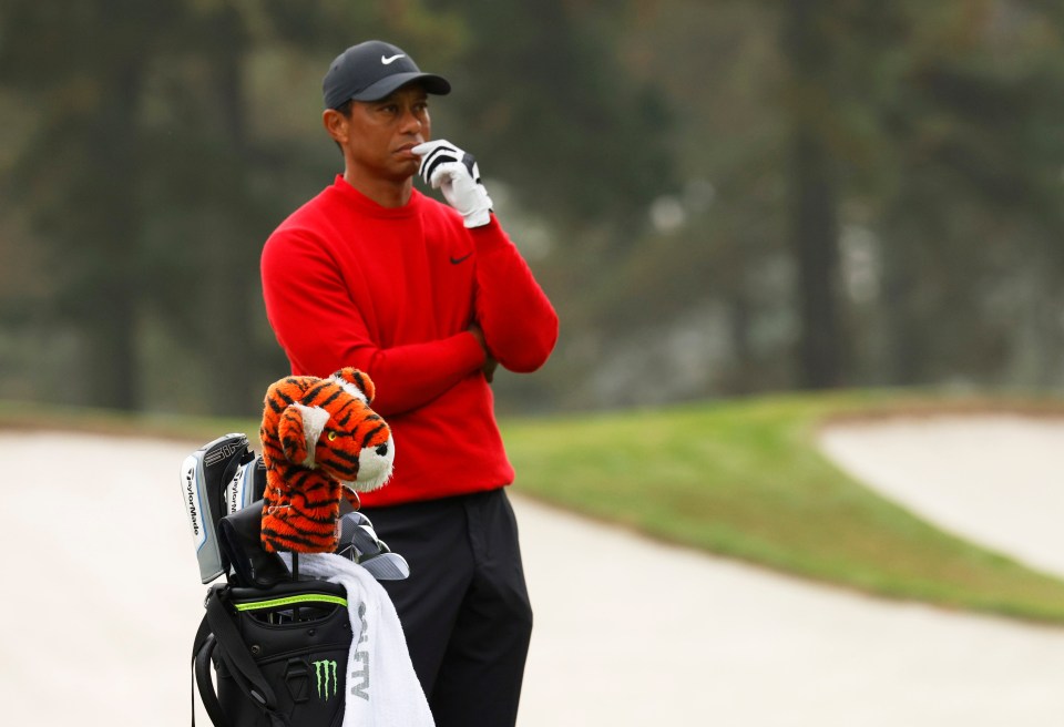 Tiger Woods is determined to compete at St Andrews next year